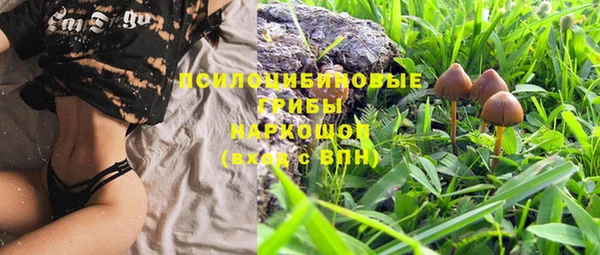 винт Корсаков