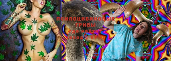 метадон Костерёво